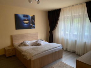 Apartament Ultracentral